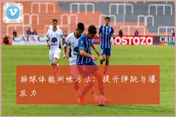 排球体能训练方法：提升弹跳与爆发力